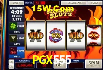 Account Benefits PGX555