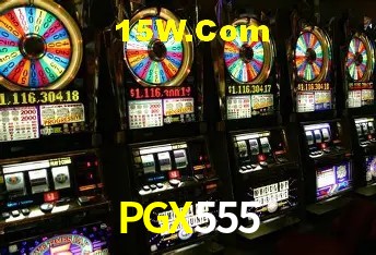 Security Systems PGX555
