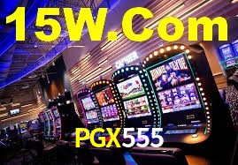 Programa VIP PGX555